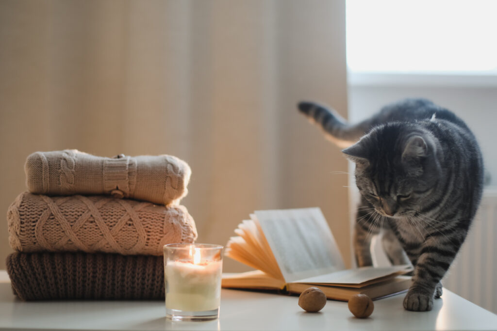 image of cat, candle, and sweaters to suggest a cozy fall home. Autumn Home Decor 